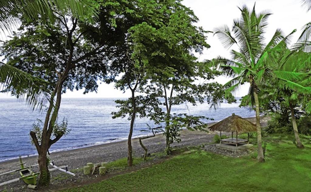 Bali Au Naturel (Adults Only) Tejakula Exteriör bild