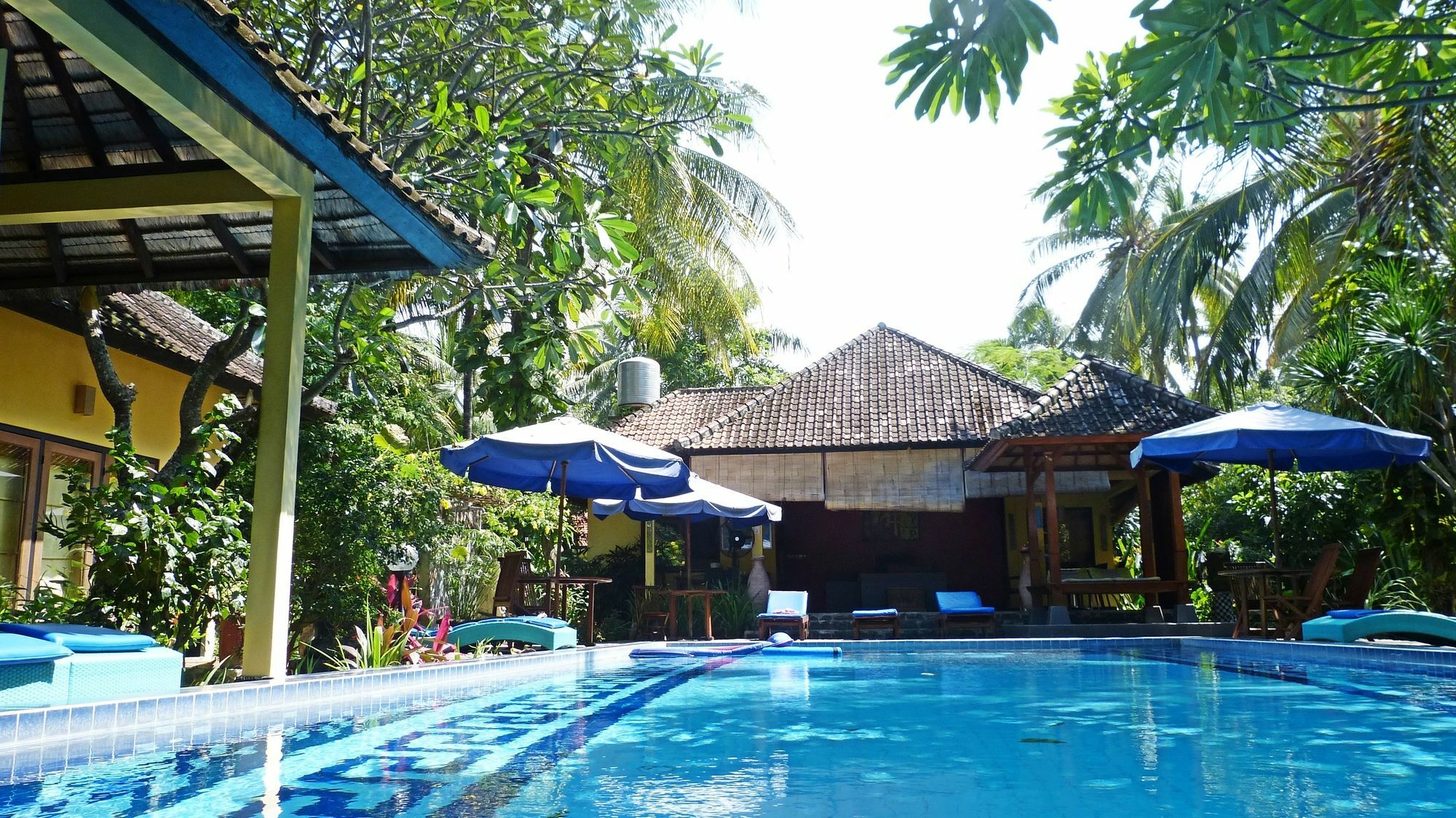 Bali Au Naturel (Adults Only) Tejakula Exteriör bild